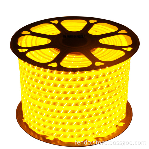 220V RGB 5050 LED Strip - Flexible, Waterproof IP67, APP Control Rope Light